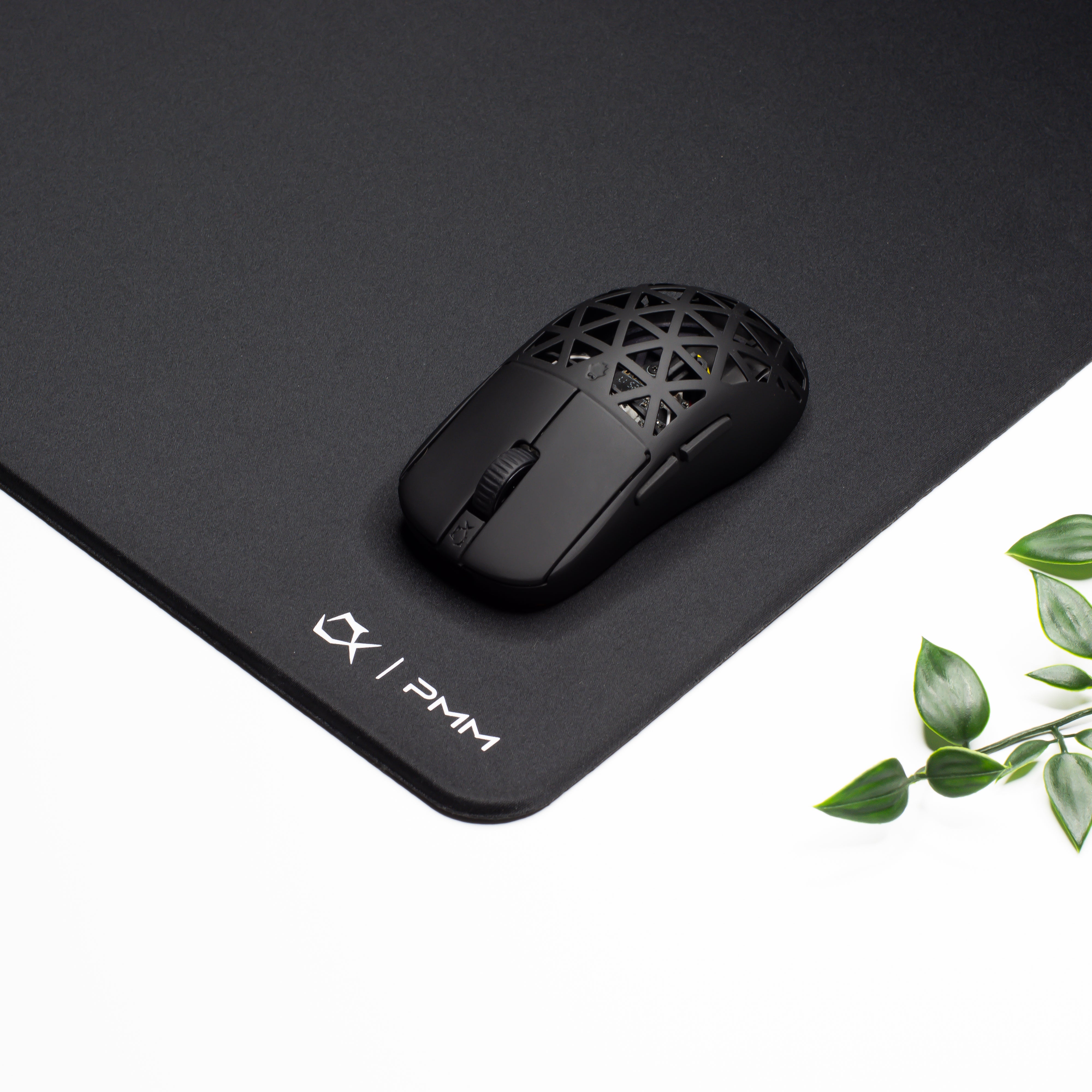 S2P // QUANTUM EDITION