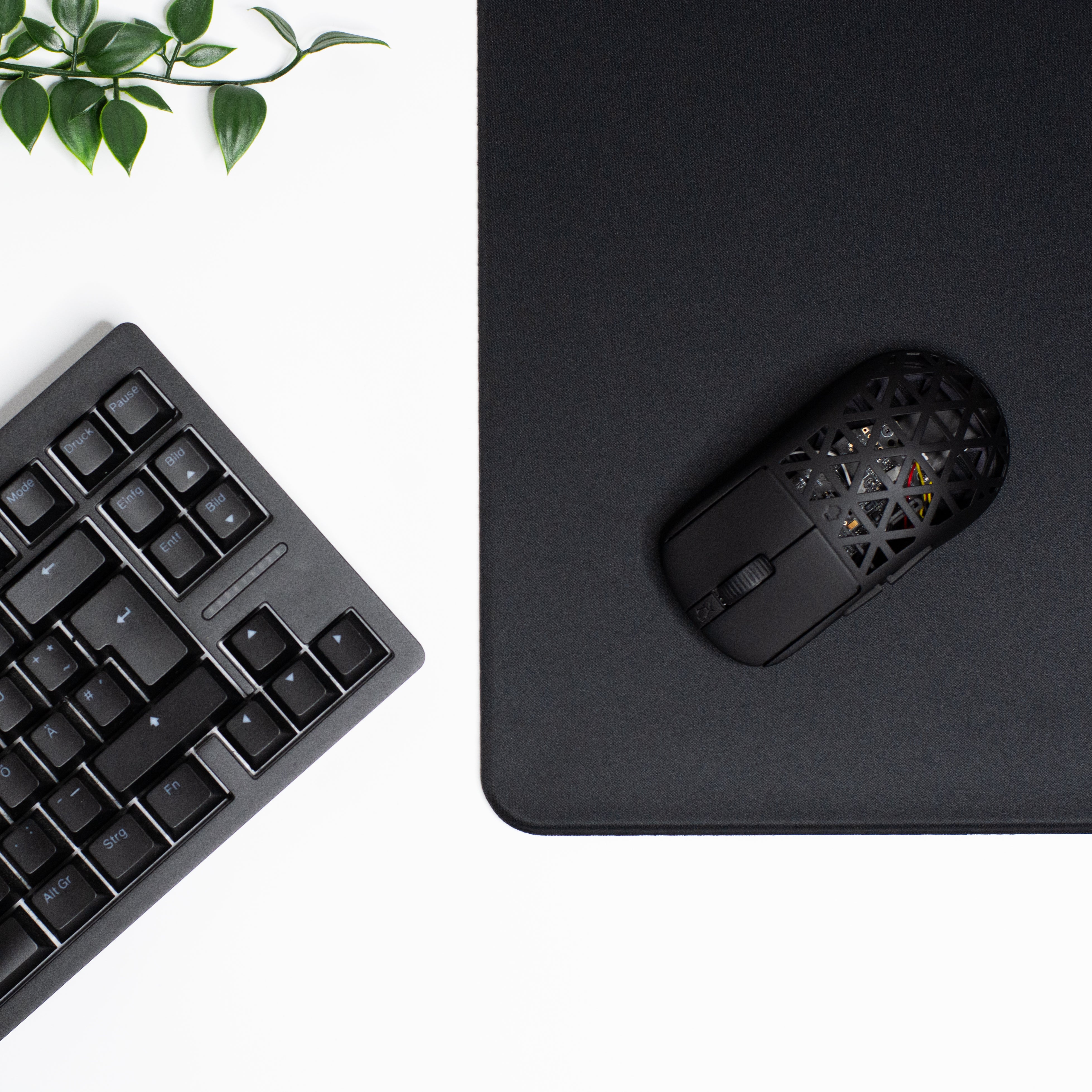 S2P // QUANTUM EDITION